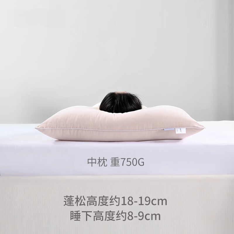 鹅毛枕头100支天丝棉枕头枕芯羽丝绒纯棉单人柔软不塌陷枕鹅毛枕 单只