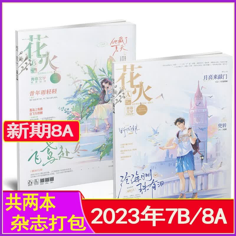 多种套装自选】花火杂志志2023年1A-8A打包（半年/全年订阅2024）2022过期刊魅丽花火系列锦色青春爱格女生言情校园文学都市小美好 新2本【2023年8A+7B】