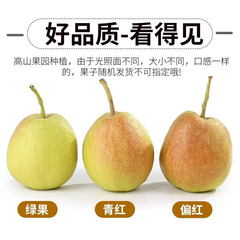 绿熊庄园正宗新疆库尔勒香梨酥脆甜多汁冰糖雪梨丑梨子果蔬生鲜水果礼盒装 特级5斤装 单果120g+净重4.5斤