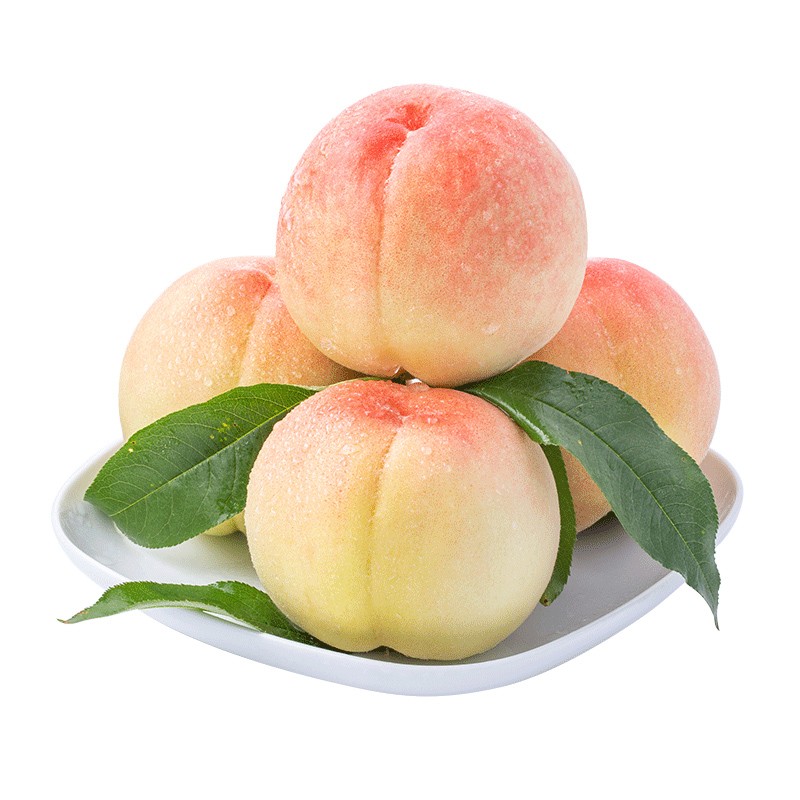攸竹浙江奉化水蜜桃 新鲜当季水果桃玉露大桃子水果礼盒 2斤单果180