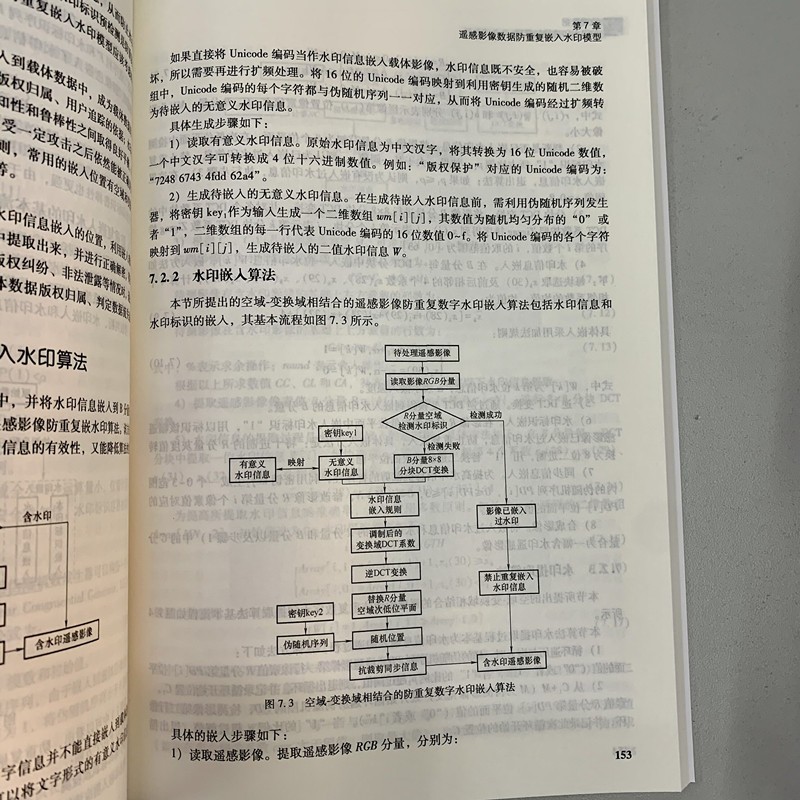 地理数据数字水印建模与原理详情图