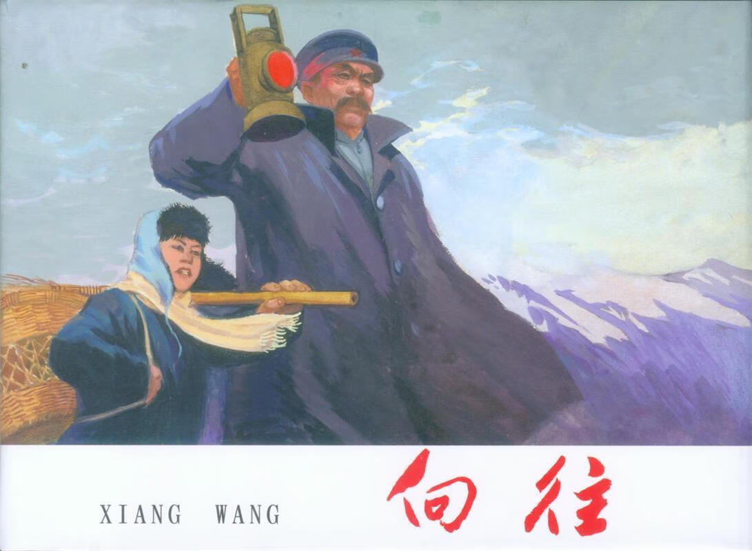 向往【正版好书，下单速发】