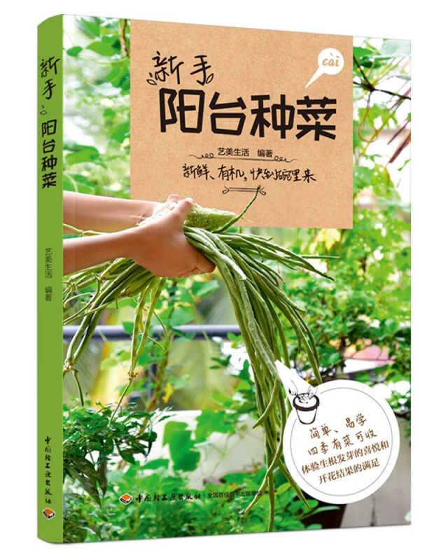 新手阳台种菜