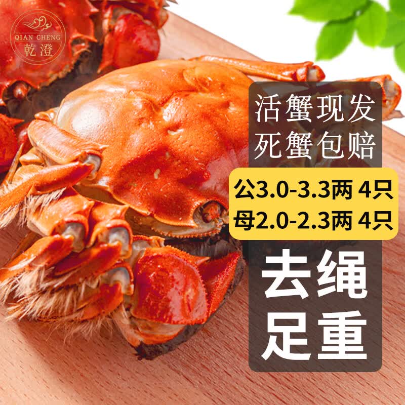 【活蟹】乾澄大闸蟹鲜活现货 公3-3.3两母2.0-2.3两 8只4对 去绳足重生鲜螃蟹河蟹礼盒高性价比高么？