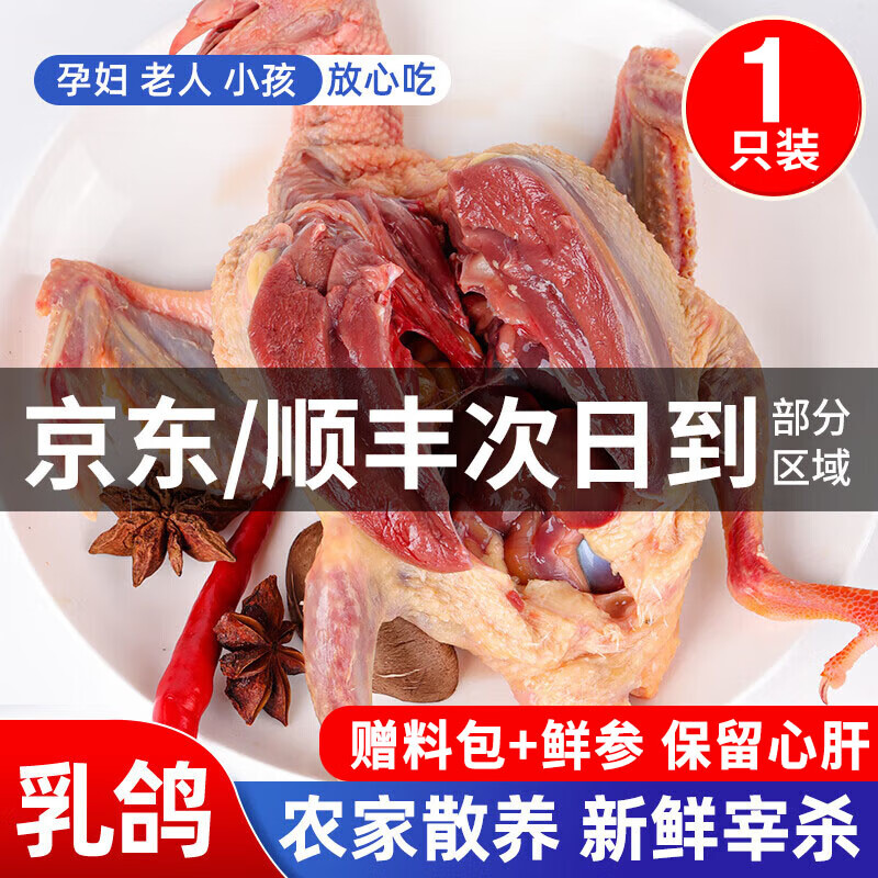 颐乡情农家新鲜宰杀鸽子肉鸽子 生鲜鸽子乳鸽老鸽子 煲汤孕妇滋补仅需38.9元