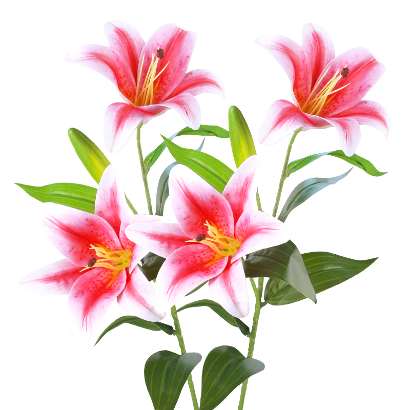  ٺϻ滨3ͷ ߵ滨 װΰڼ ɫ2֧ 20013 24.9Ԫ