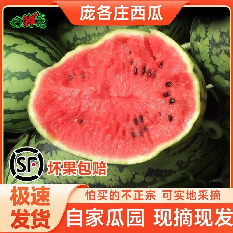 妙鲜礼(自有瓜园)大兴庞各庄西瓜l600 头茬吊瓜现摘袖珍西瓜礼盒4个装