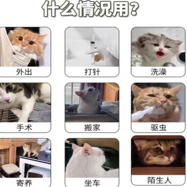 宜宠【顺丰当日发】加巴喷丁猫咪GBP营养液猫咪应激抵抗防应激反应异 GBP营养液20ml/瓶 顺丰快递-当日发