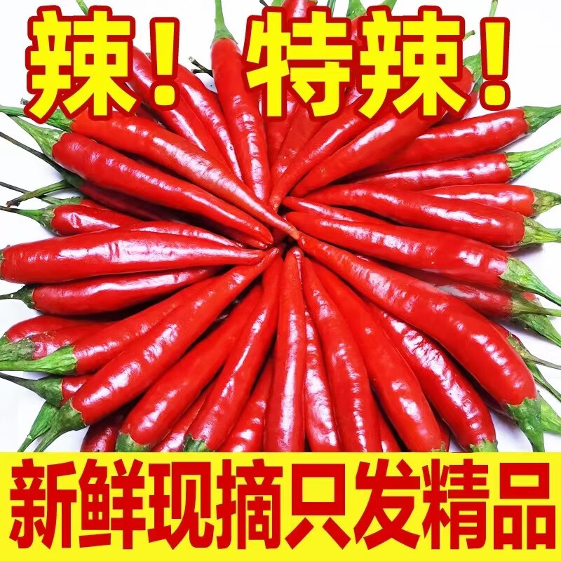 农大姐妹小米椒 新鲜特辣小米辣 农家自种小红辣椒 小米红辣椒 新鲜小米辣 正常发货3斤现摘特辣