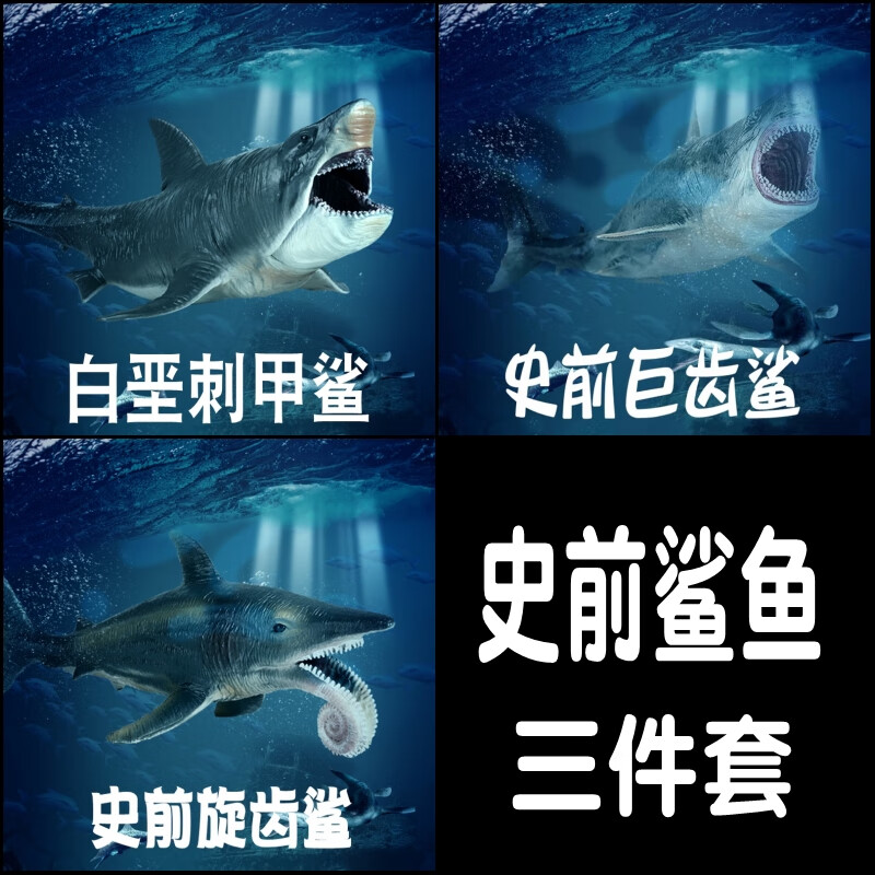 林畅模玩儿童海洋动物玩具史前巨齿鲨旋齿鲨白垩刺甲鲨模型仿真鲨鱼