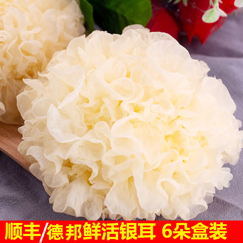 果然猴新鮮食用菌菇福建古田種的鮮銀耳新鮮采摘白木耳當季鮮雪耳順豐 新鮮銀耳6朵裝