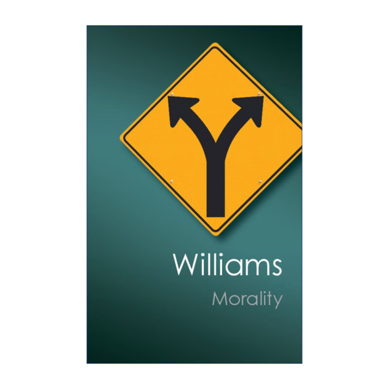 进口原版 morality 道德 伦理导论 伯纳德·威廉斯 剑桥canto经典系列