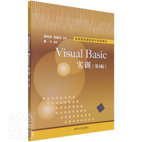 Visual Basic实训（D4版）
