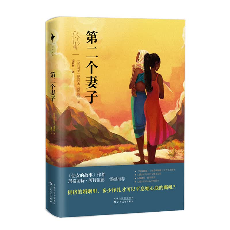 第二个妻子 图书