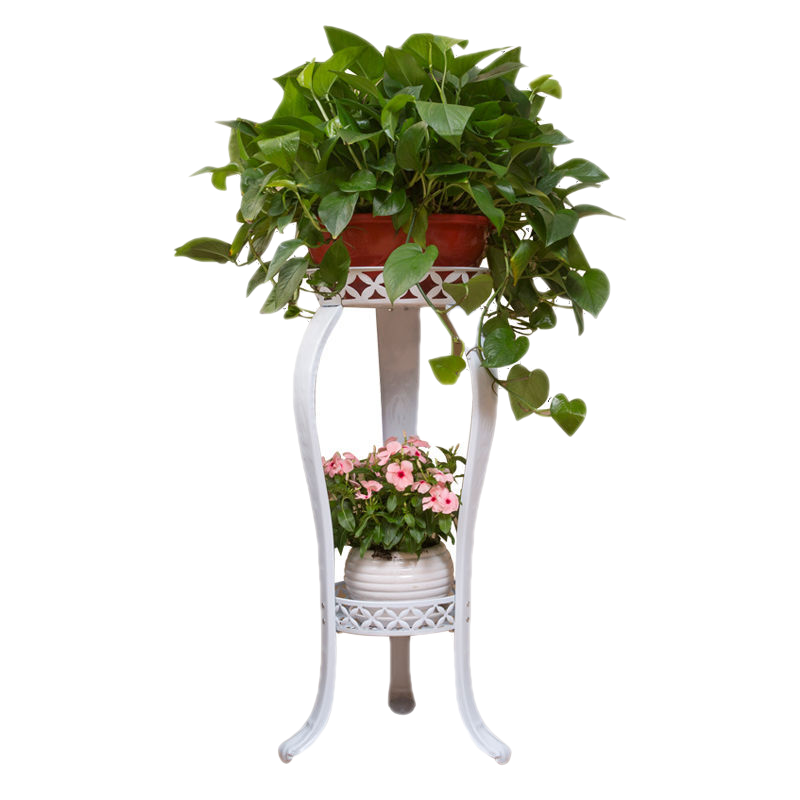 超高花架欧式花架铁艺多层室内落地式绿萝花架子客厅置物阳台简约家用花盆 白色(高83CM)【升级加厚款】