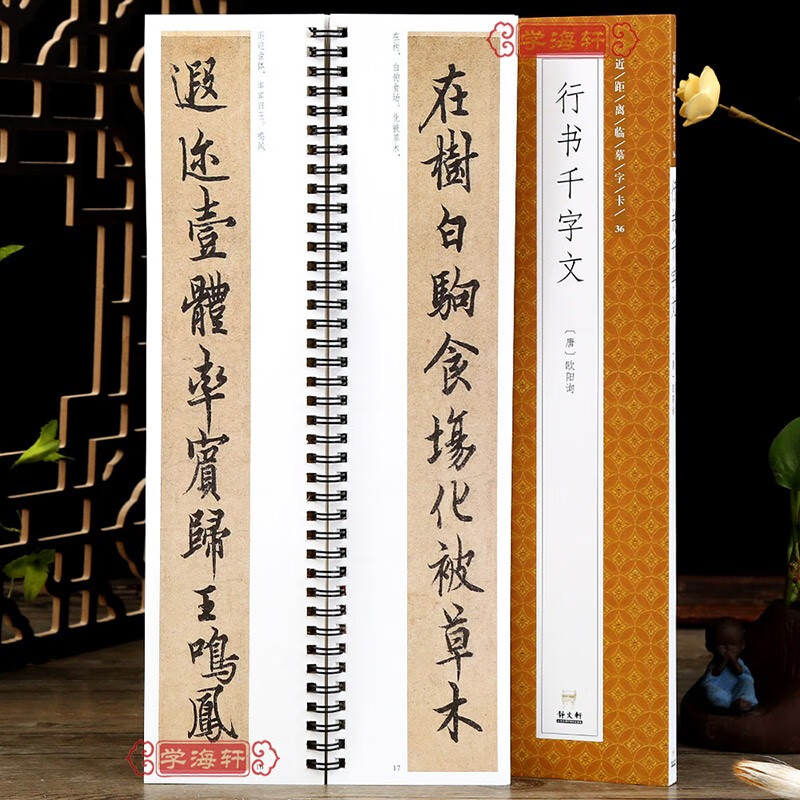 学海轩 唐欧阳询行书千字文全文 练字卡 