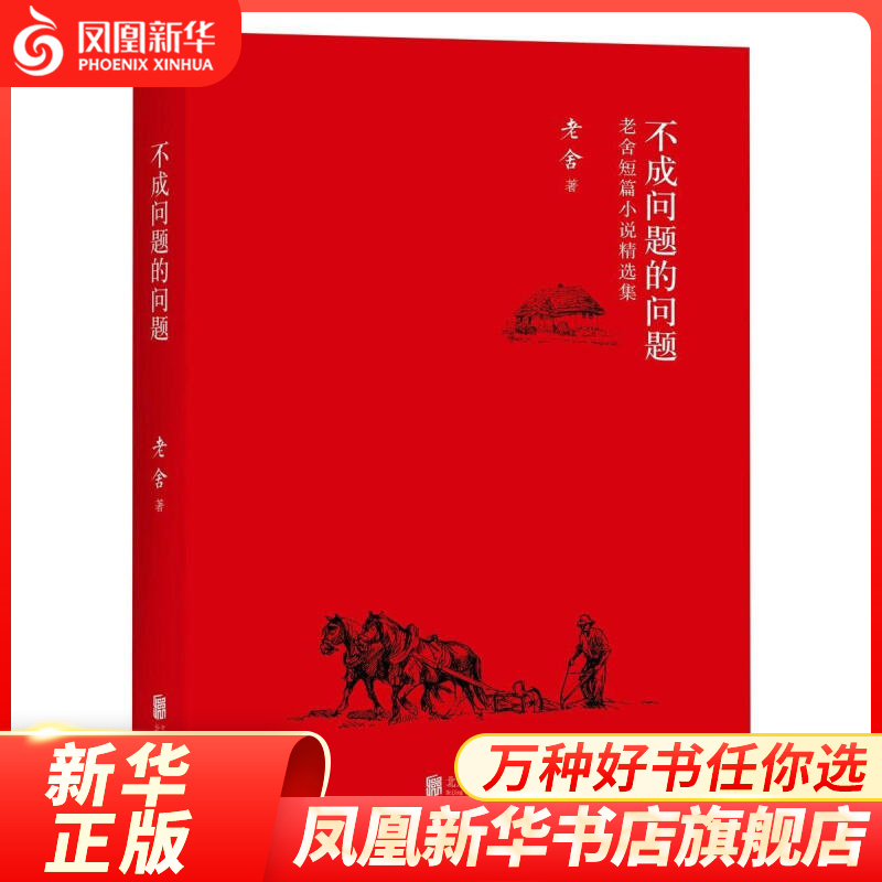 【旗舰店官网】不成问题的问题-老舍短篇小
