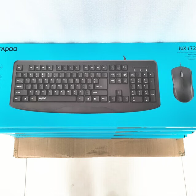 雷柏（Rapoo）雷柏雷柏NX1720有线USB键盘鼠标套装办公笔记本台式机通用 黑色