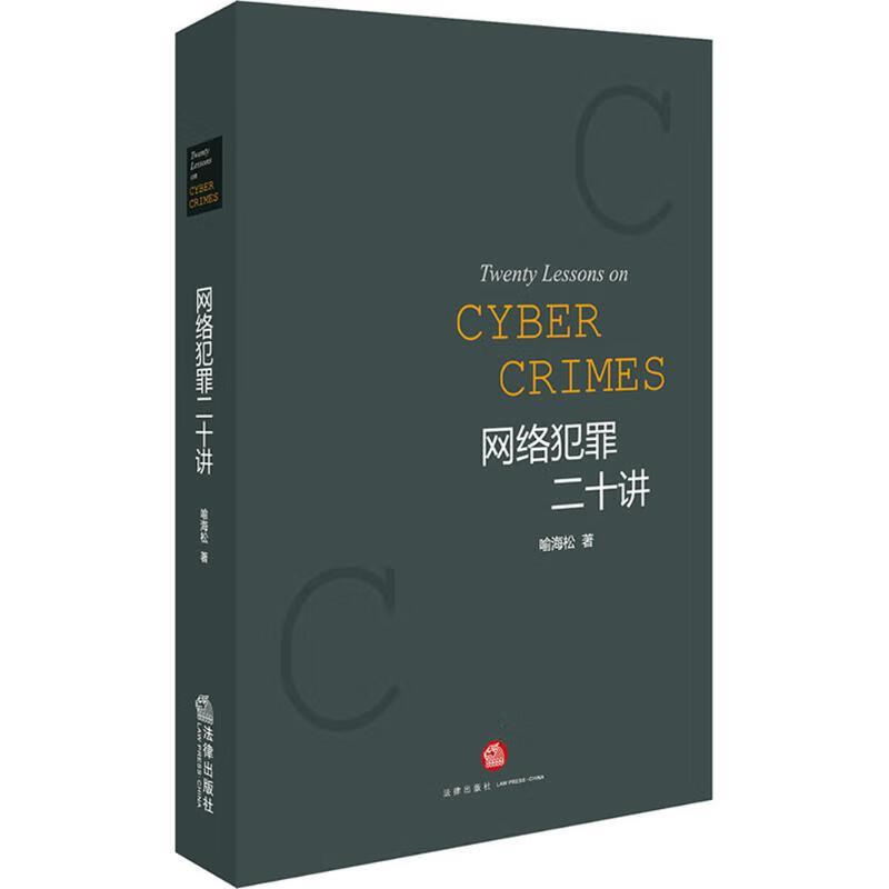 网络犯罪二十讲 法律出版社