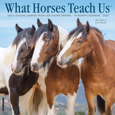 预订what horses teach us 2022 wall calendar
