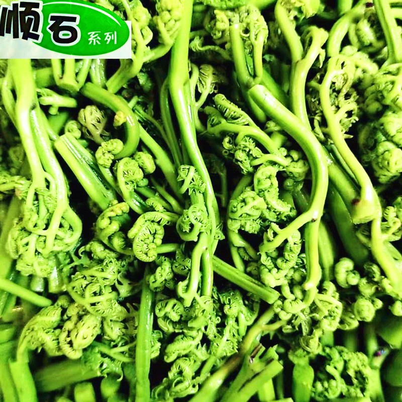 东北特产山蕨菜龙爪菜新鲜山野菜袋装保鲜蕨菜带水包装1000g 2袋 虎窝购
