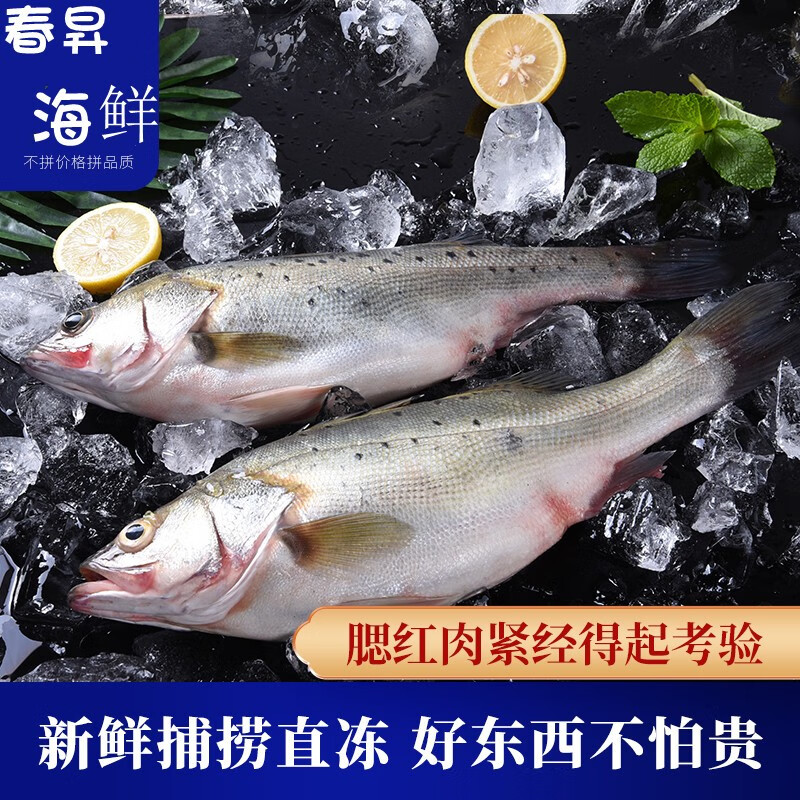 李享食丰深海超大海鲈鱼鲜活冷冻海鲜水产3条装大花鲈1.3-1.