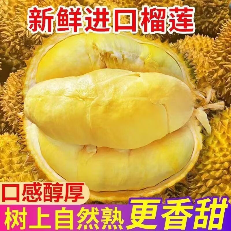 泰国金枕头榴莲新鲜一整个带壳批发特价进口水果小个巴掌迷你榴莲 香甜软糯+到货及时咨询客服+不能 巴掌金枕榴莲一个1.5-2斤(当天