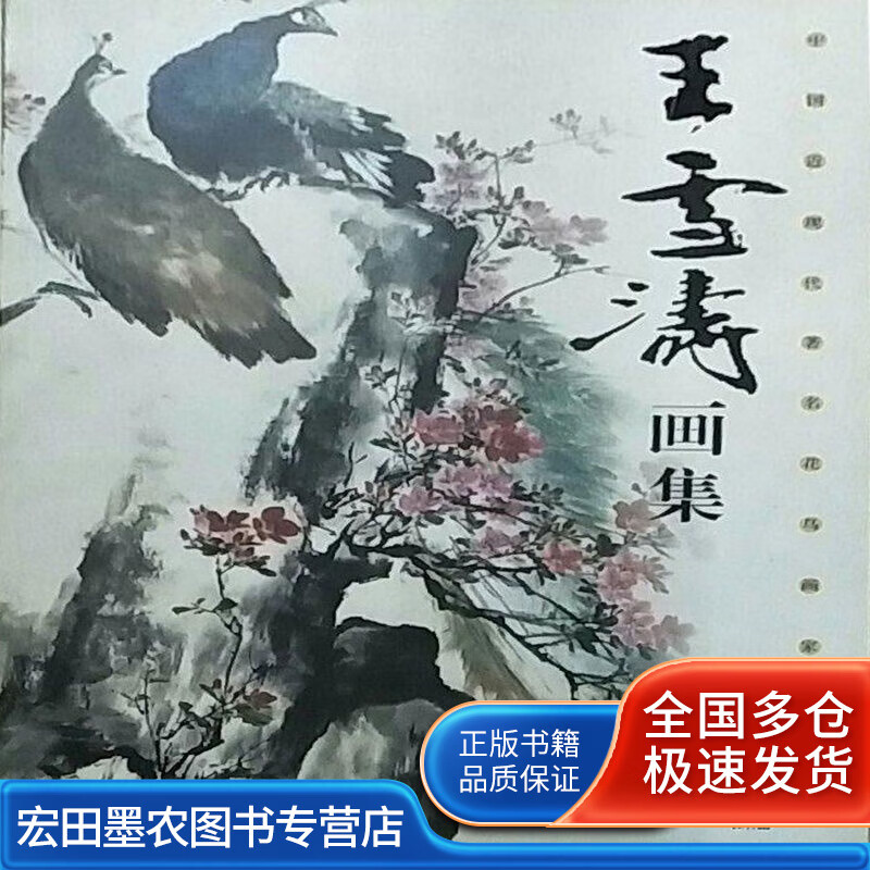 王雪涛【好书】