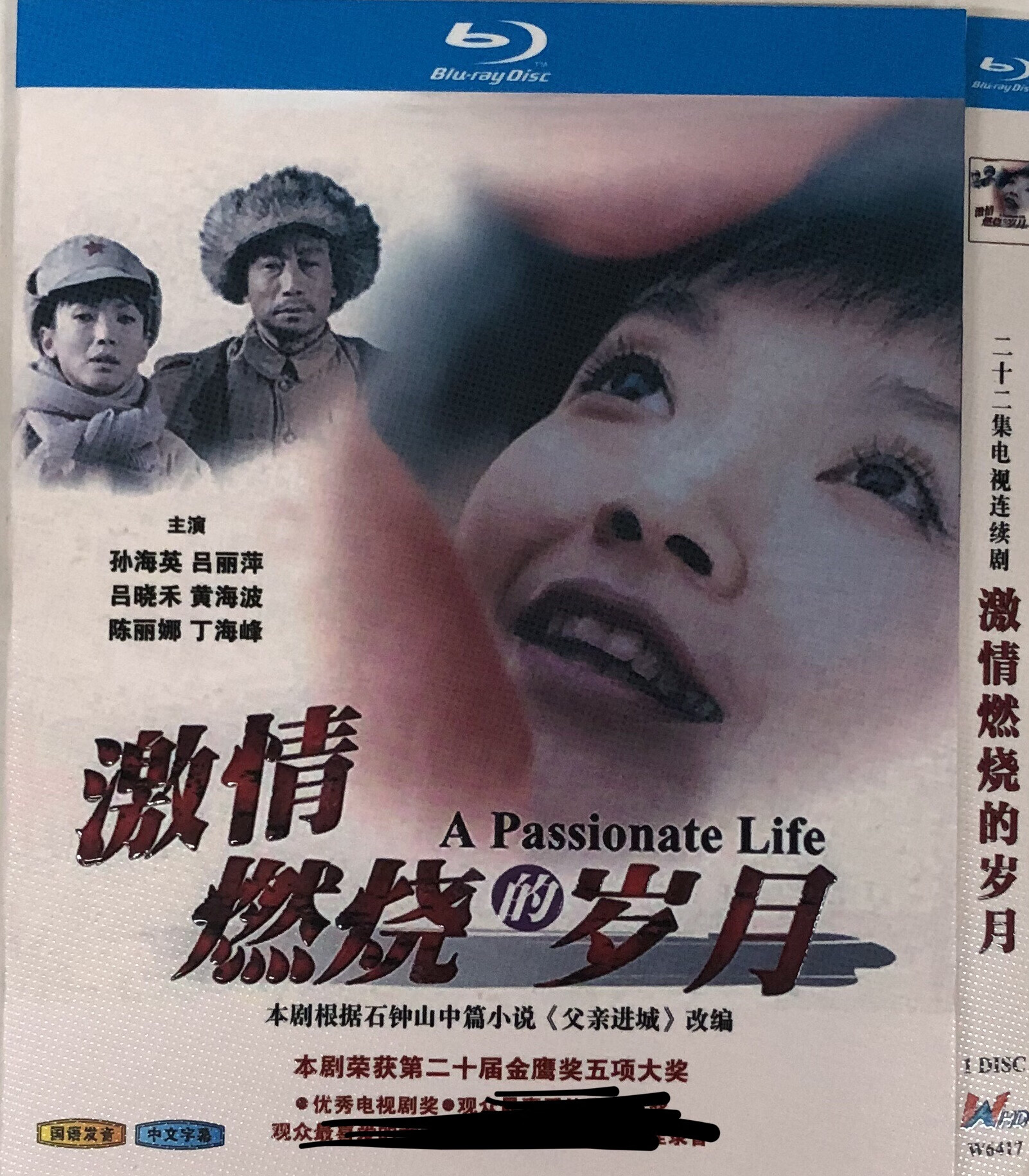 激情燃烧的岁月(经典电视剧)/bd蓝光碟