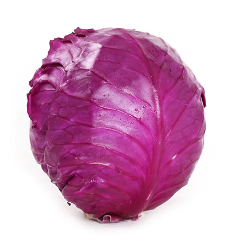 紫甘蓝苗子特色紫红包菜种子可生吃脆嫩农家四委大田蔬菜种 紫甘蓝苗5