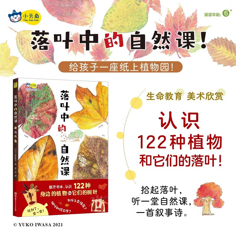 落叶中的自然课，自然科普、美术欣赏、生命教育，认识122种植物和它们的落叶，给孩子一座纸上植物园！详情图