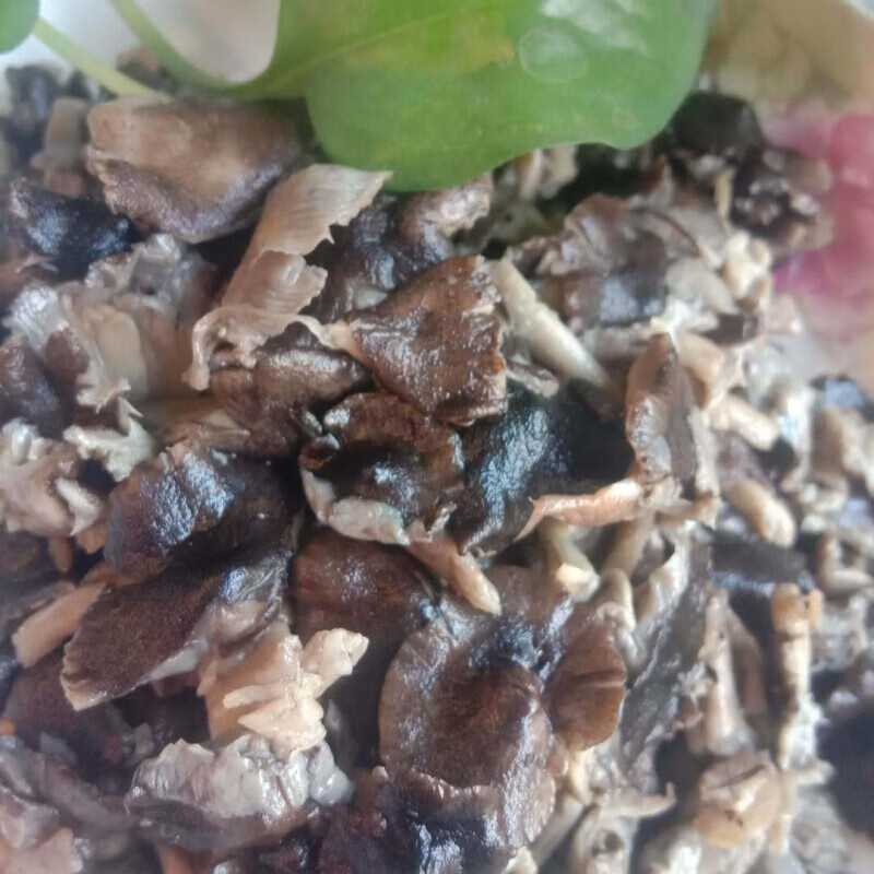 虎钢馋东北特产野生小灰蘑菇精品干货新鲜咸小灰蘑菇腌制无根小鸡炖
