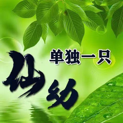 独角仙活虫甲姬兜长戟大兜稀罕宠物新手套餐好养爬宠成虫幼虫 仙小