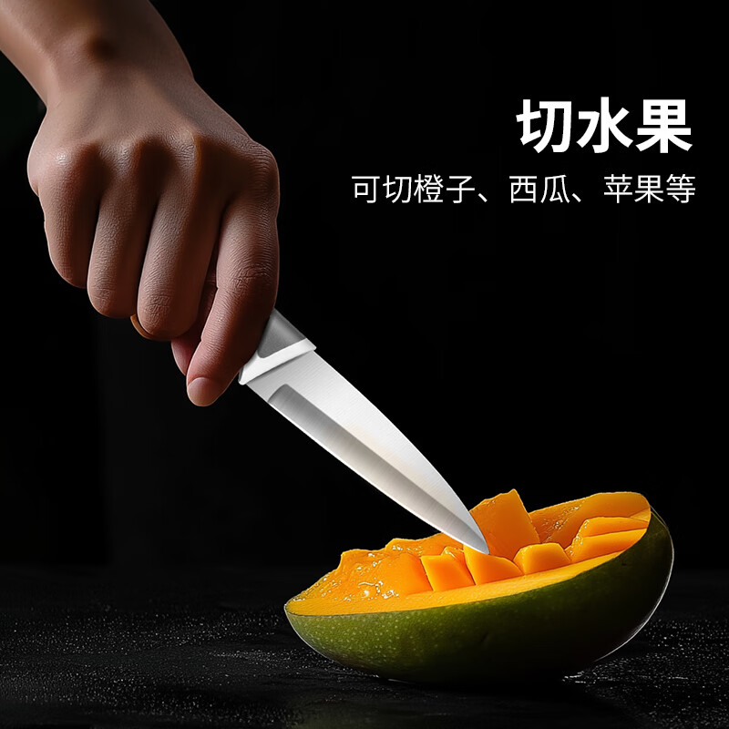力王家用便携不锈钢水果刀塑料柄瓜果刀削皮刀多用刀带刀套