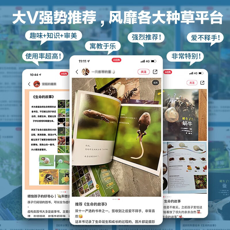 生命的故事 第1辑 高清实拍小自然昆虫动物科普 儿童绘本3-6岁幼儿园科学百科知识图书课外阅读 《人民日报》推荐 生命的故事 第1辑10册