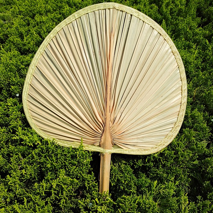 妙普乐济公扇蒲草棕榈叶扇子 大蒲扇芭蕉扇济公扇葵扇老人老式手工