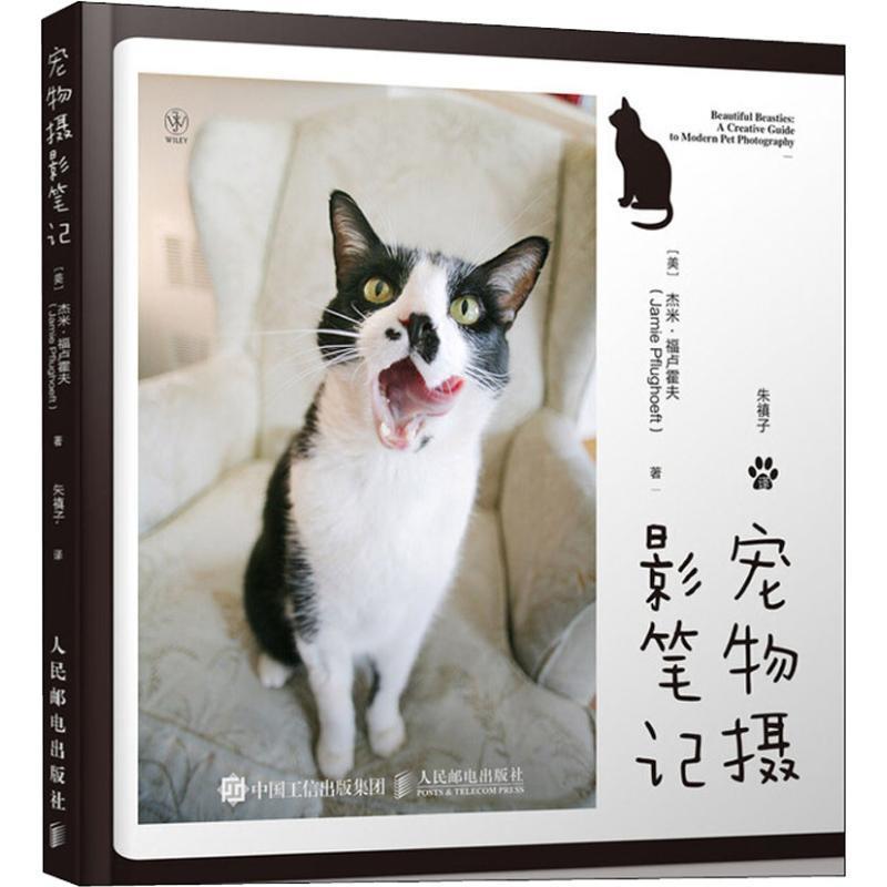 宠物摄影笔记