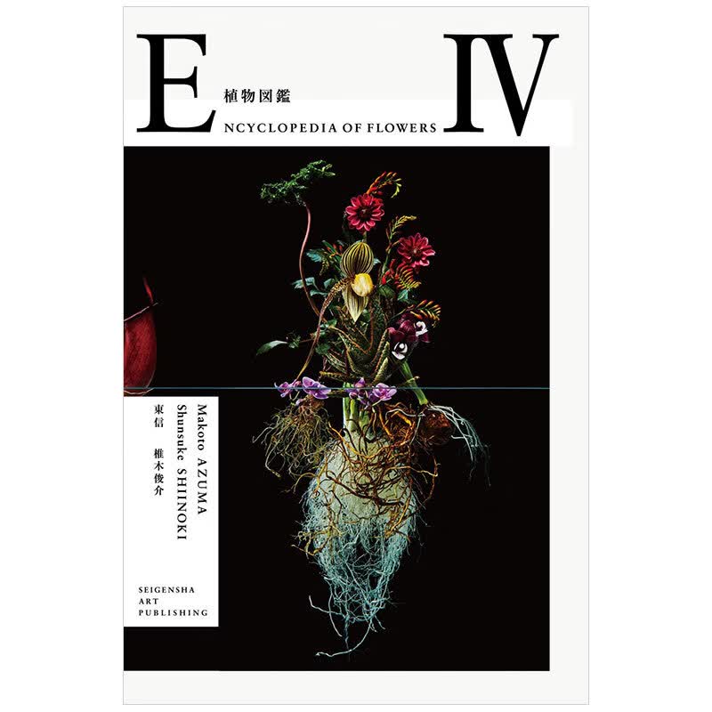 日文原版摄影 植物图鉴4植物図鉴IV 椎木俊介东信书籍进口