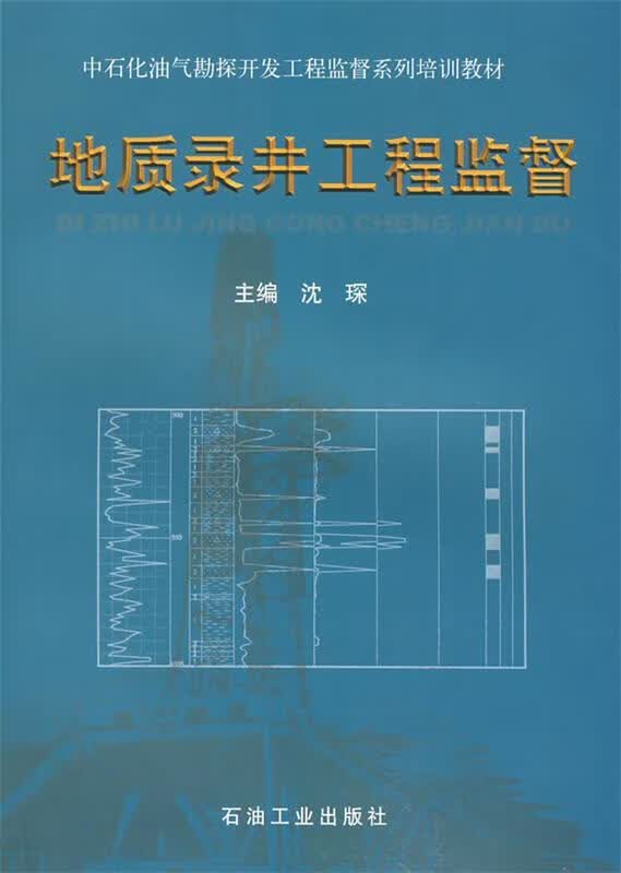 地质录井工程监督 沈琛 主编【正版】