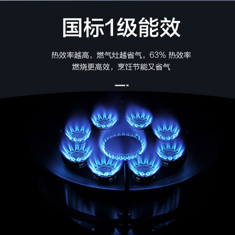 澳柯玛燃气灶 双灶家用煤气灶天然气液化气 猛火灶具 台式嵌入式两用 一级能效 灶具 天然气灶送货上门 天/5.2九腔猛火聚能环309B