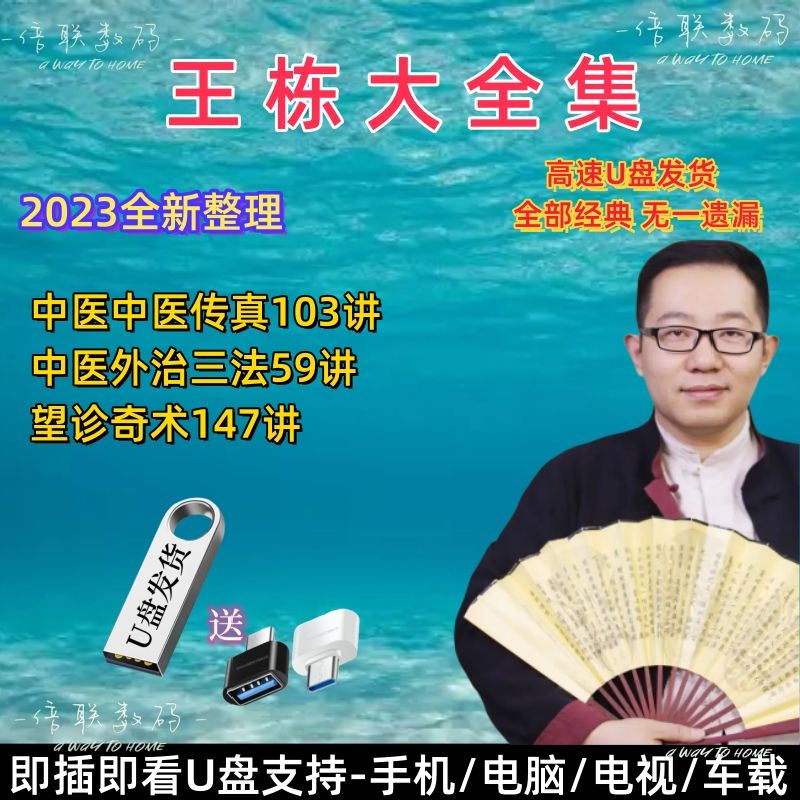 王栋博士视频u盘针灸传真中医外治三法望诊奇术309讲高清64g优盘 王栋