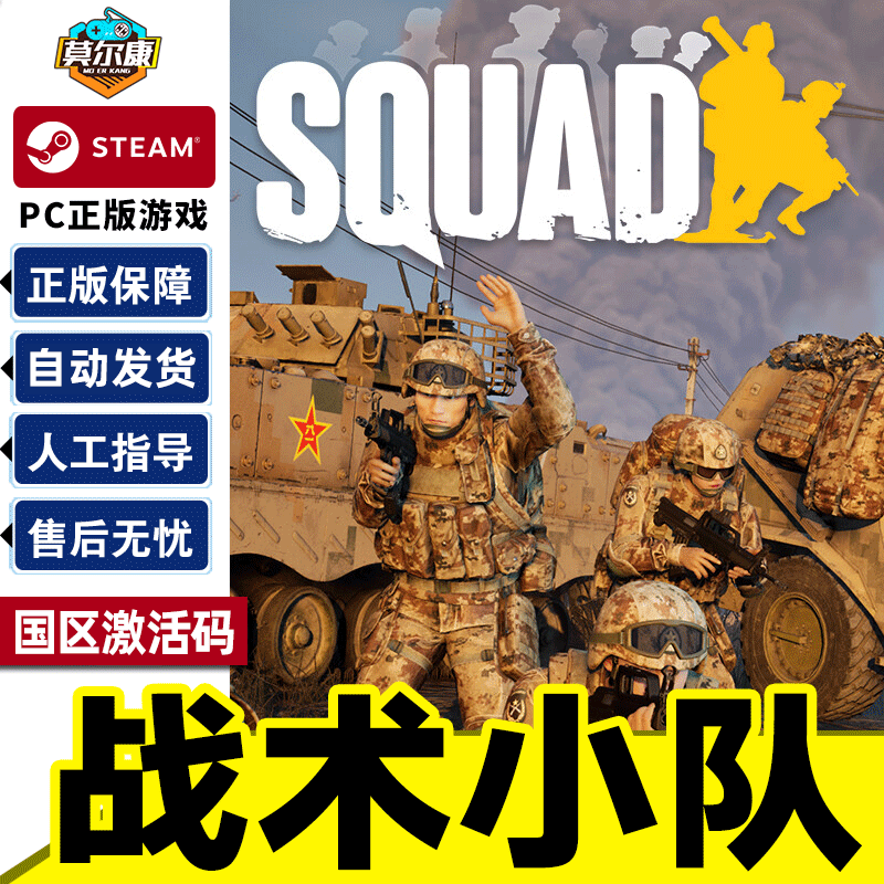 PC中文正版steam 战术小队 Squad 国区激活码cdkey秒发 标准版 Squad战术小队 游戏本体怎么样,好用不?