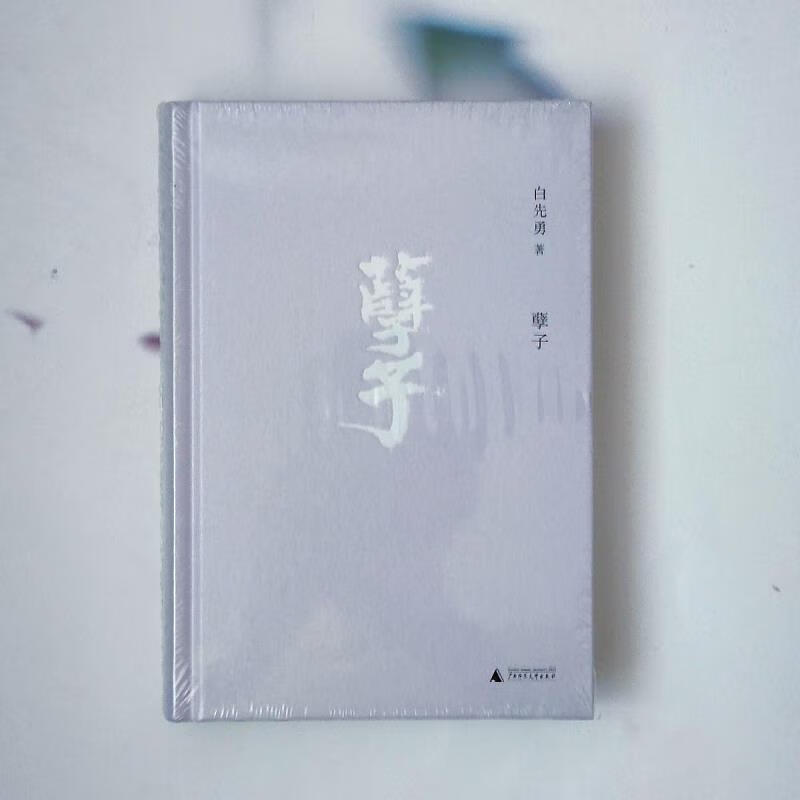 孽子 白先勇著 研悲情为金粉的歌剧 台北人 纽约客 现代当代文学 中国