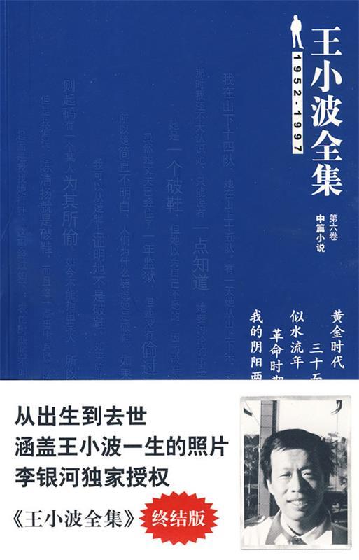 王小波全集(第六卷 中篇小说) 黄金时代 三十而立 似水流年【正版图书