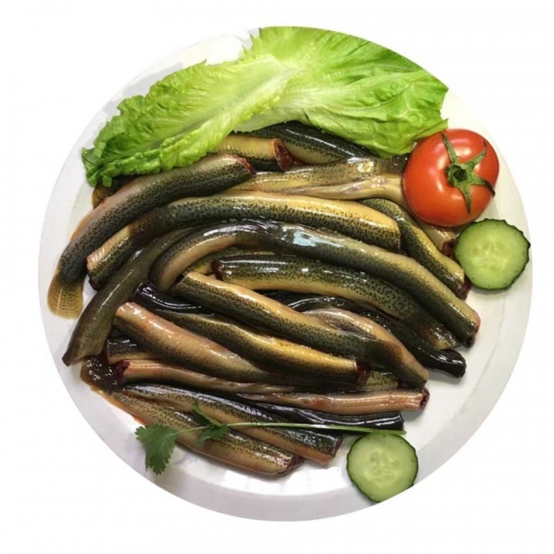 九河灌海 微山湖泥鳅 鱼活体食用泥鳅现杀小青鳅黄泥鳅段鲜活泥鳅鱼