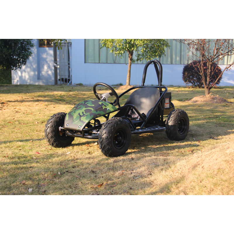 雪战单双人四轮电动汽油卡丁车漂移车成人/儿童车沙滩越野车场地车