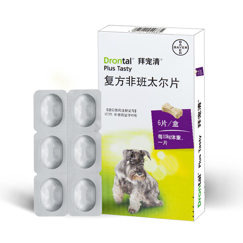 【柴犬二条】一位宠物视频博主（铲屎官）的好物分享——狗狗用品囤货大全