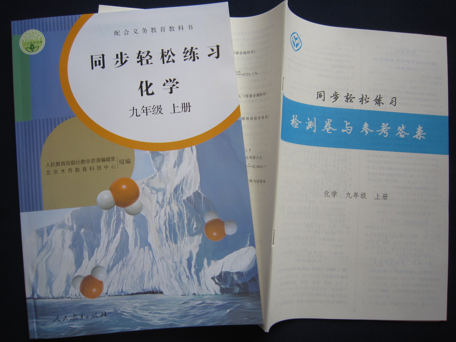 2021秋正版同步轻松练习化学9/九年级上册 附检测卷与答案 人教版