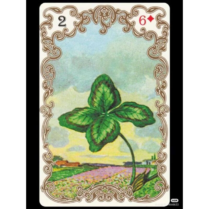 pvc磨砂雷诺曼之家手感好可选款式复古四叶草