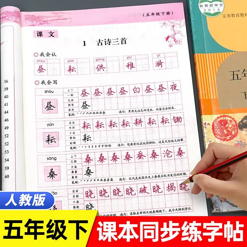 五年级下册字帖人教版课本教材同步练字帖小学5年级下学期语文配套写字课课练生字抄写本部编版田英章小学生